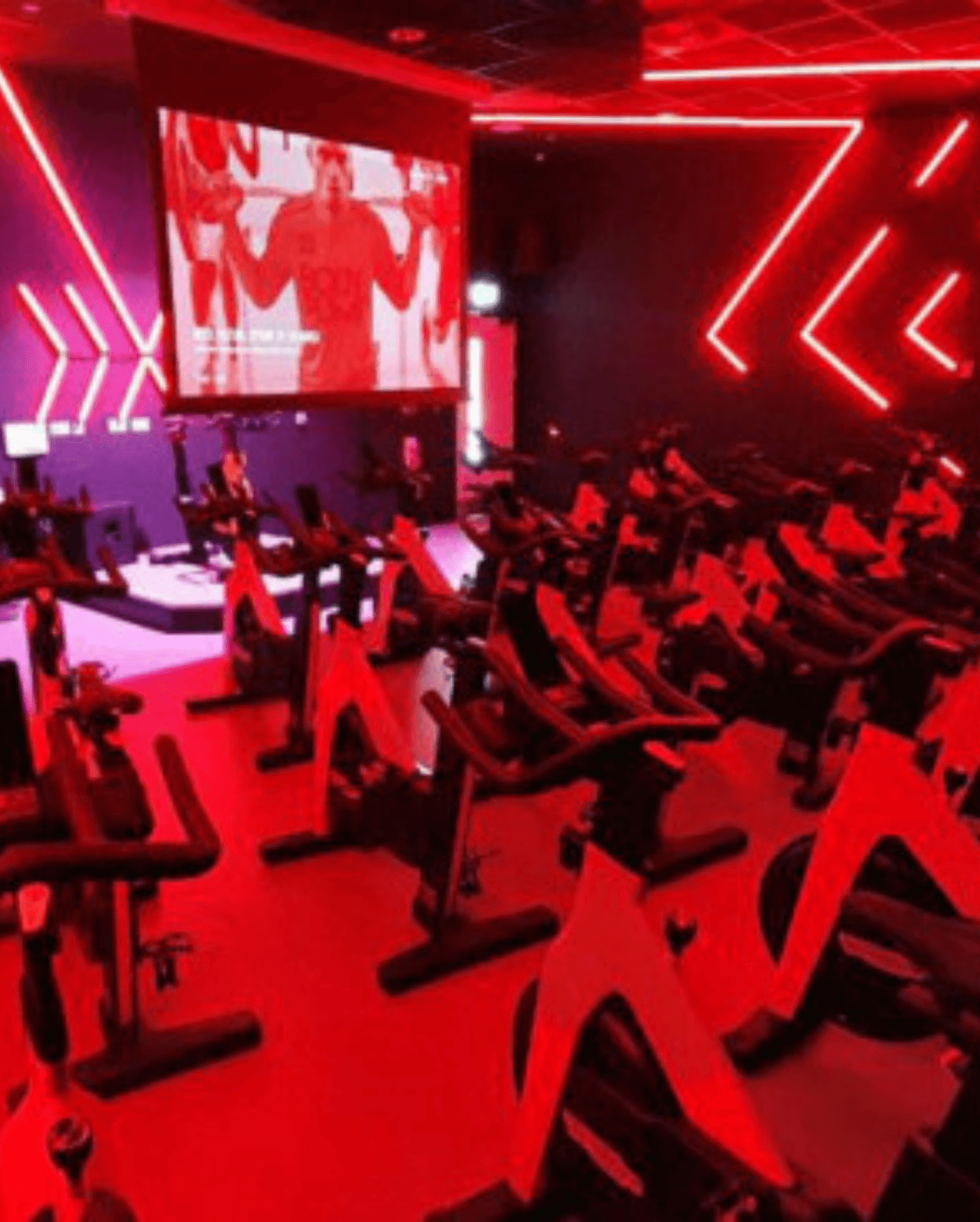 La forza del team di installatori di attrezzature fitness di Transmec