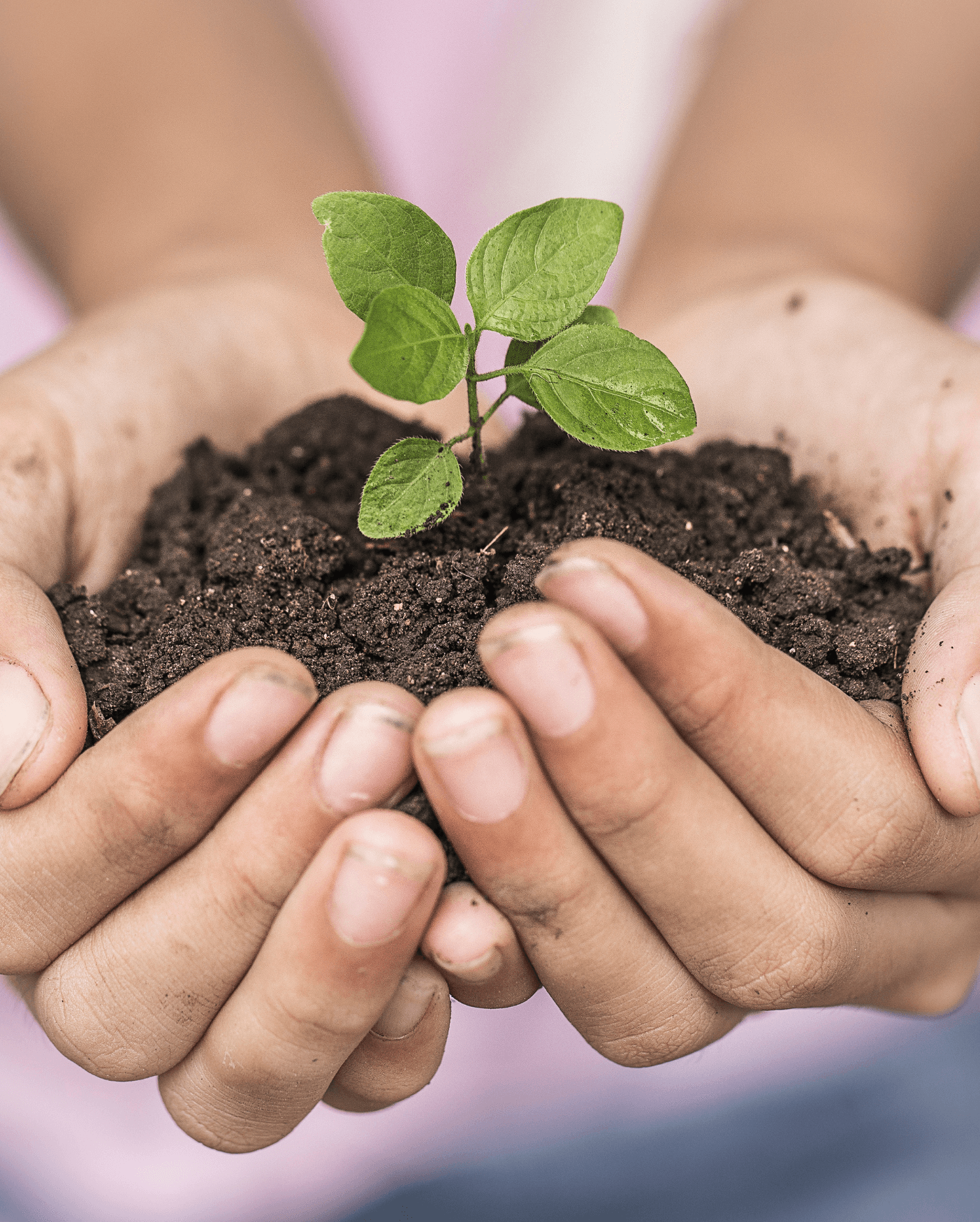 Uno sviluppo sempre più ‘green'