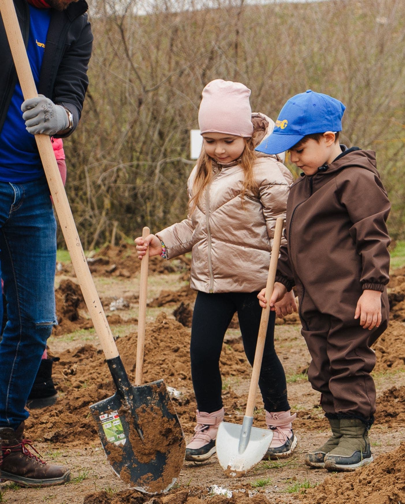 Transmec Romania si unisce a “A Forest from Scratch”