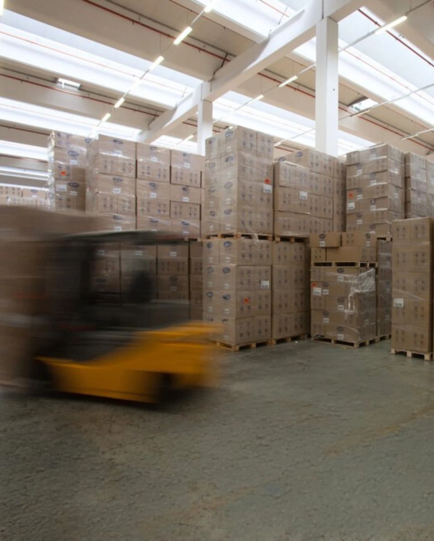 Un nuovo capitolo per TDBG Germania