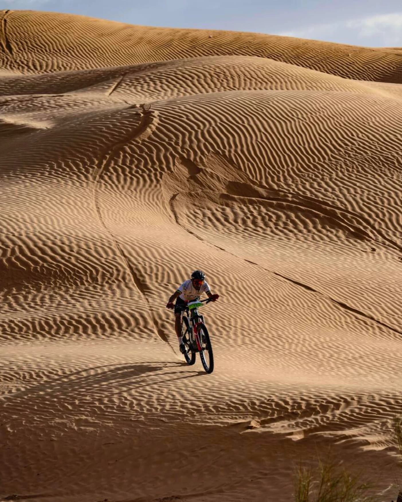 Transmec tra gli sponsor del Tembaine Desert Rally: let the desert set you free!